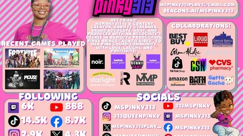 313queenpinky Instagram post about Creator media kit