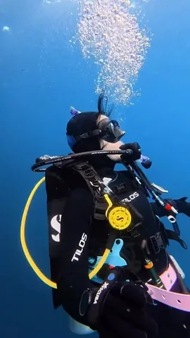 39daph Instagram post about Scuba diving