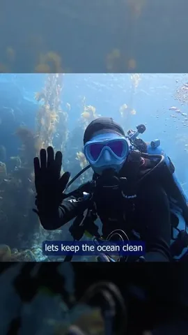 39daph Instagram post about Scuba diving