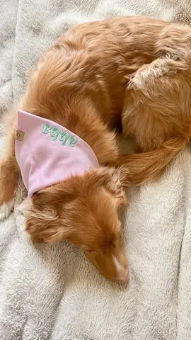 abbathetoller Instagram post about Drink and lifestyle products