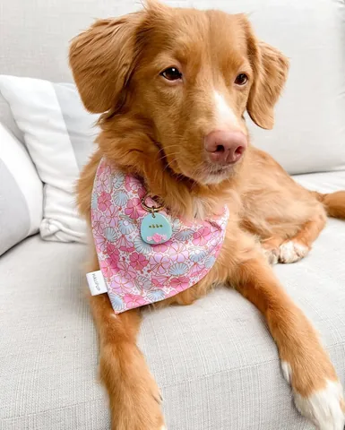 abbathetoller Instagram post about Canada Day weekend