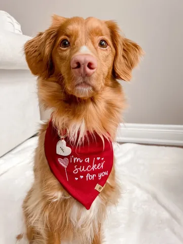 abbathetoller Instagram post about Valentine’s Day