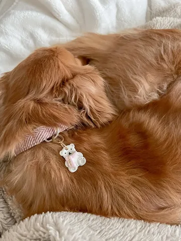 abbathetoller Instagram post about Winter coziness
