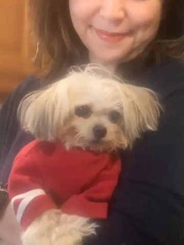 abby.pup Instagram post about Senior dog health update