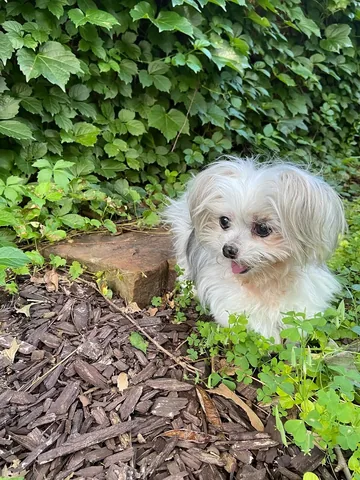 abby.pup Instagram post about Scenic place appreciation