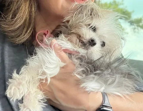 Abby Instagram post thumbnail