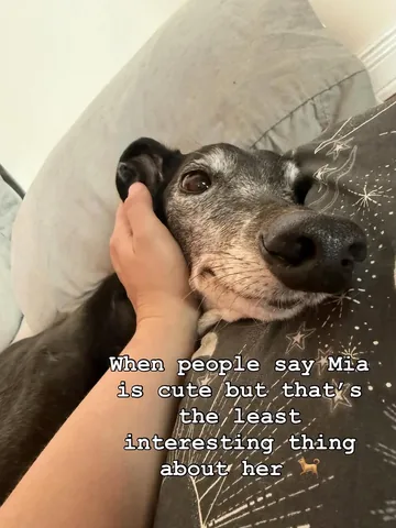 ab_reads Instagram post about Social media trend