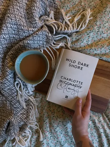 ab_reads Instagram post about Current reading