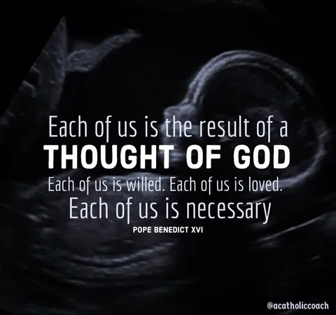 acatholiccoach Instagram post about Abortion opposition