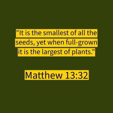 acatholiccoach Instagram post about Parable of the mustard seed