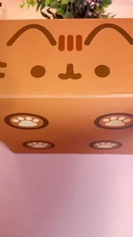 ageekychick Instagram post about Pusheen Box unboxing