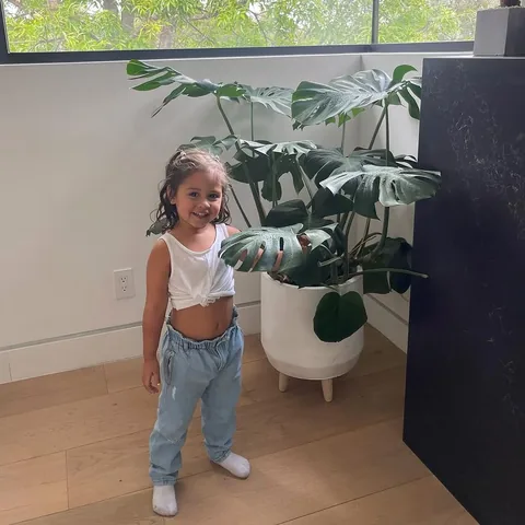 alaiamcbroom Instagram post about Plant care