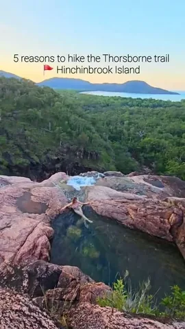 all.about.adventure Instagram post about Thorsborne Trail hiking