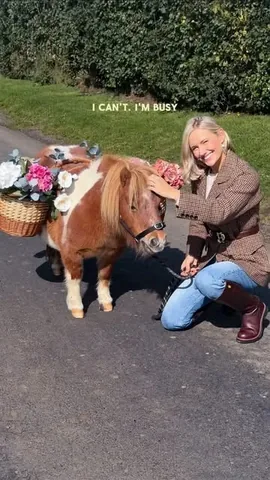 all.thats.pretty Instagram post about Horse related arrival