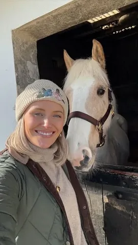 all.thats.pretty Instagram post about Horse introduction