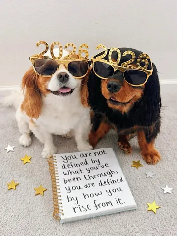 alohakiki808 Instagram post about New Year greeting