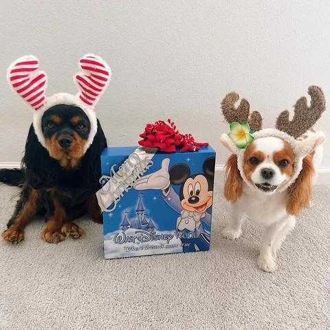 alohakiki808 Instagram post about Secret Santa exchange