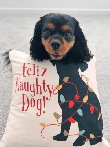 alohakiki808 Instagram post about Secret Santa participation