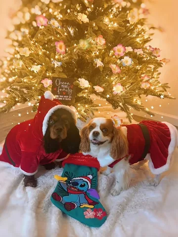 alohakiki808 Instagram post about Hawaiian Christmas celebration