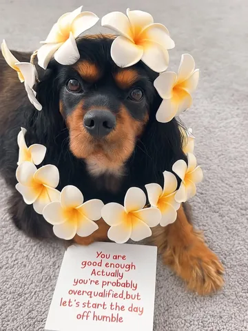 alohakiki808 Instagram post about Self worth encouragement