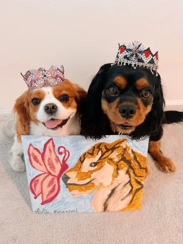 Kiki and Alika with Dogmom Sofia Selbe Instagram post thumbnail