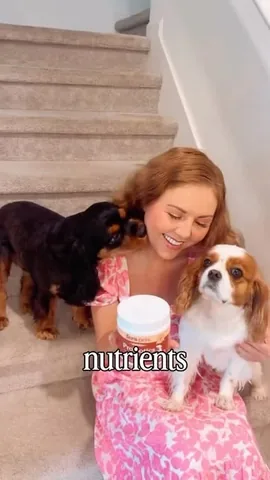 Kiki and Alika with Dogmom Sofia Selbe Instagram post thumbnail