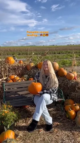 amandasvalin Instagram post about Pumpkin season