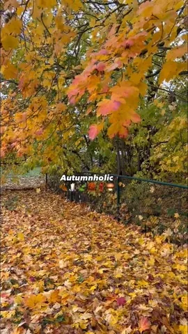 amandasvalin Instagram post about Autumn lifestyle