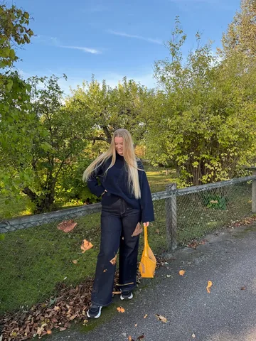 Amanda Svalin 🇸🇪 Instagram post thumbnail