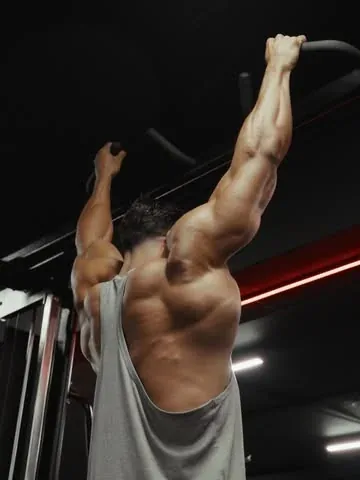 andreideiu_ Instagram post about Workout programming