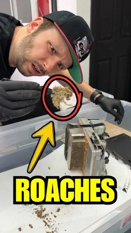 andythesalemtechguy Instagram post about Xbox repair