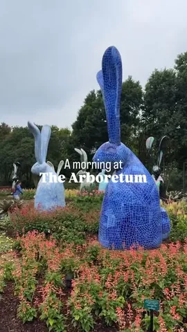angelamdarnell Instagram post about Arboretum visit