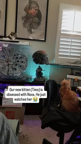 annemunition Instagram post about Cats