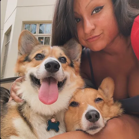 aphmau_ Instagram post about New pet introduction