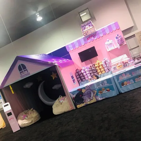 aphmau_ Instagram post about VidCon appearance