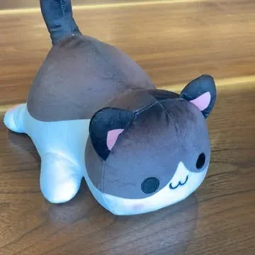 aphmau_ Instagram post about CATFACE plush product showcase