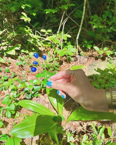 arielbissett Instagram post about Summer activities