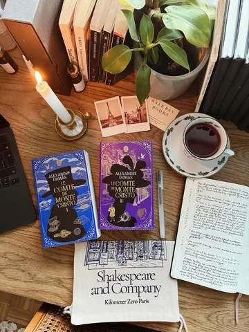 ashleighjadereads Instagram post about Reading The Count of Monte Cristo in French