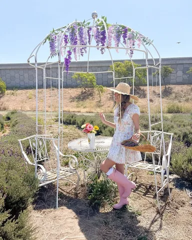 ashleyinthemidst Instagram post about Lavender field fashion visit