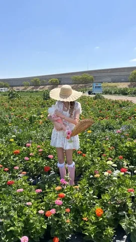 ashleyinthemidst Instagram post about Baby flower field outing