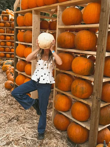 ashley.marie.andersen Instagram post about Maan Farms fall event