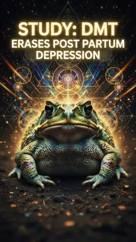 aubreymarcus Instagram post about Psychedelic treatment research
