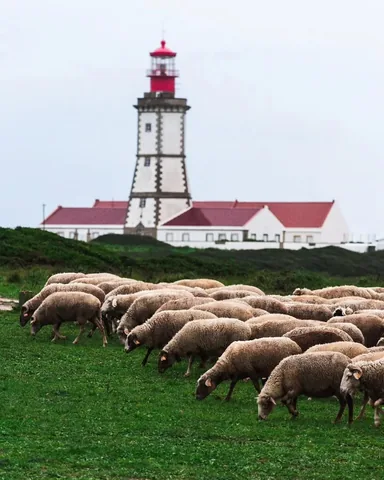 aworldtotravel Instagram post about Cape Espichel travel