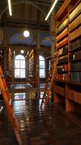 aymansbooks Instagram post about Rose Hill series adaptation