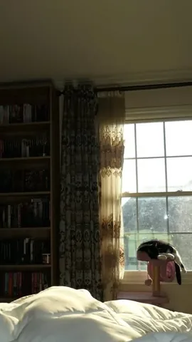 aymansbooks Instagram post about Book recommendations