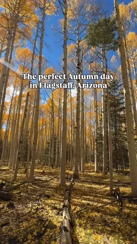 azfamilyguide Instagram post about Family hiking guide