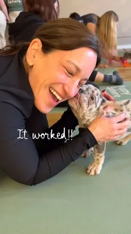 babysideburns Instagram post about Puppy yoga
