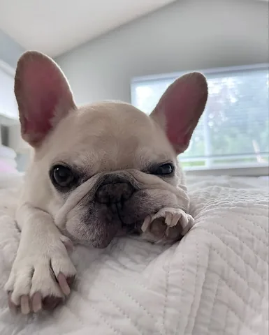barkleysircharles Instagram post about Seasonal sleepiness