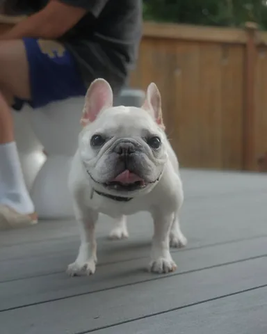barkleysircharles Instagram post about Summer check in