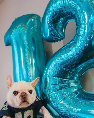 barkleysircharles Instagram post about Barkley’s birthday